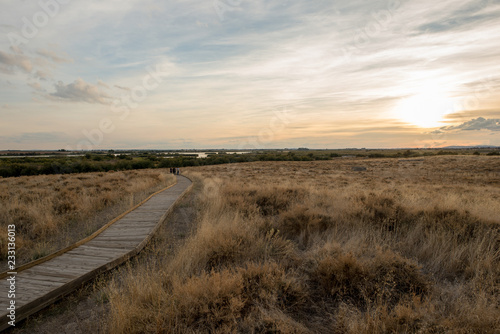 Wooden walk by the boards of daimiel at sunset