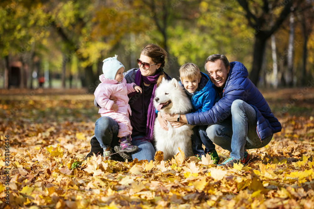 Fototapeta premium Happy family of four with samoyed dog in autumn park