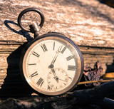 Time goes by: vintage watch outdoors; wood and leaves;