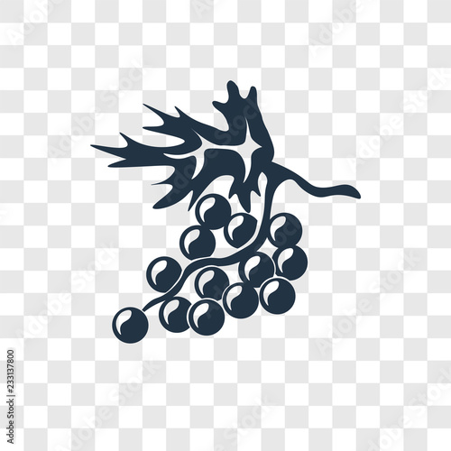 Grape vector icon isolated on transparent background, Grape transparency logo design