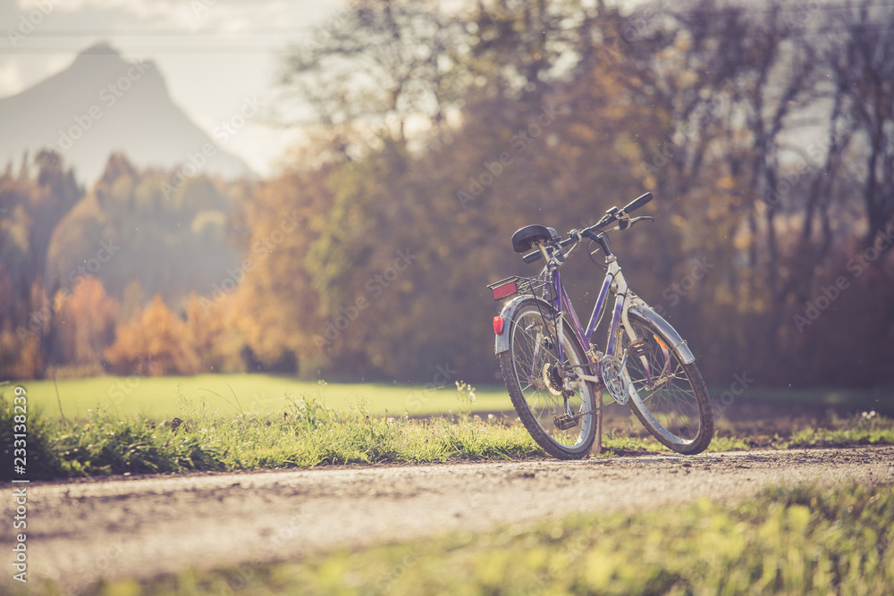 Lonley bike on a meadow, outdoors