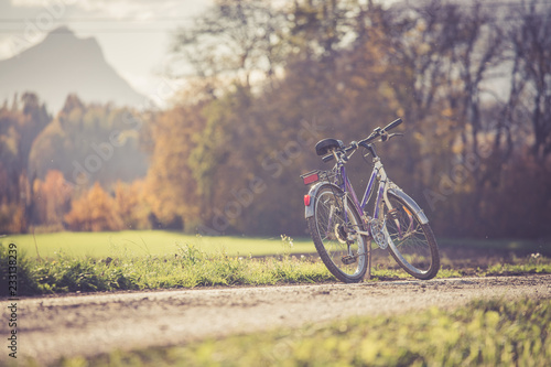 Fototapeta Naklejka Na Ścianę i Meble -  Lonley bike on a meadow, outdoors