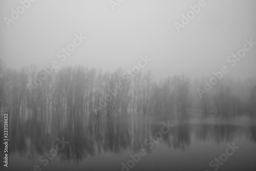 Black and white image of a cold misty winter morning in a partially flooded polder in The Netherlands. 
