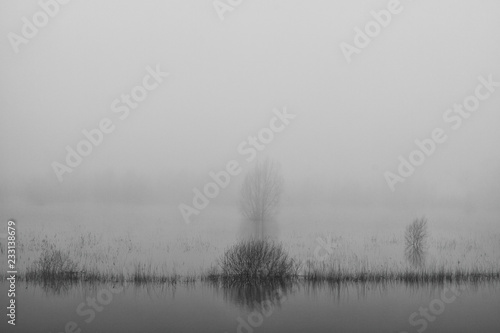 Black and white image of a cold misty winter morning in a partially flooded polder in The Netherlands. 