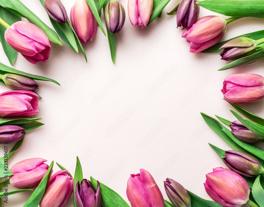Delicate pink tulips on lightpink background. Delicate pink tulips on lightpink background.