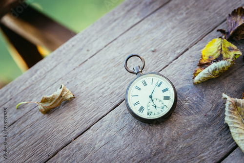 Tableau sur toile Time goes by: vintage watch outdoors; wood and leaves;