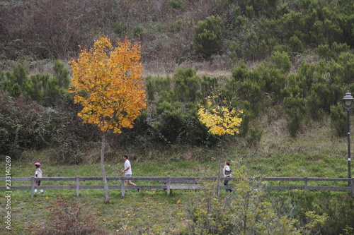 Otoño photo