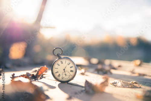 Time goes by: vintage watch outdoors; wood and leaves; © Patrick Daxenbichler