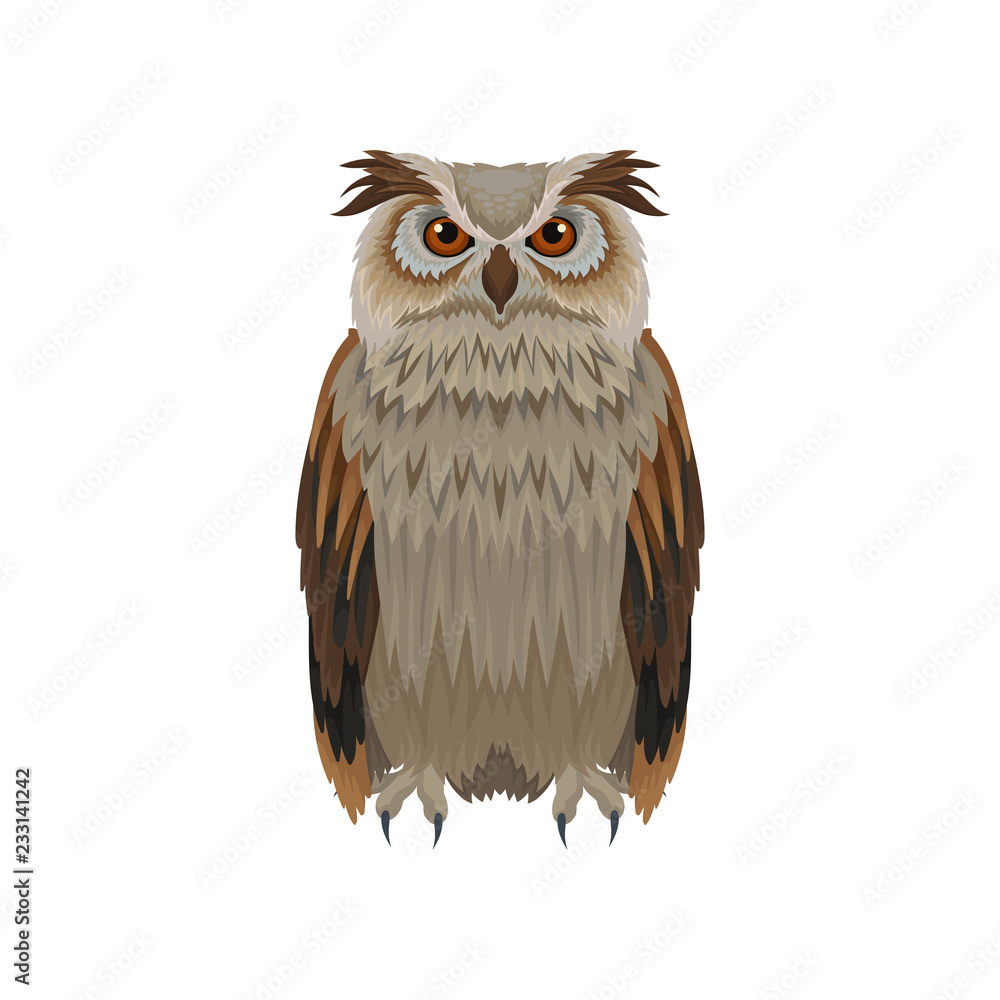Obraz premium Great horned owl with brown plumage, front view. Large forest bird. Ornithology and fauna theme. Flat vector icon