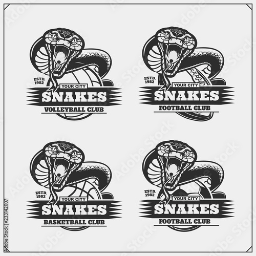 Volleyball, basketball, soccer and football logos and labels. Sport club emblems with snakes.