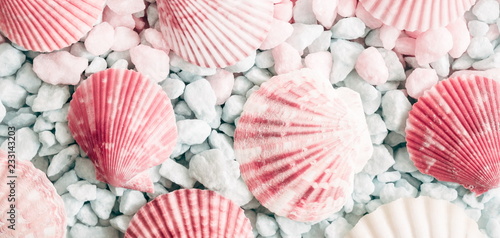 Canvas Print Sea shells, natural pink and blue stones as  background