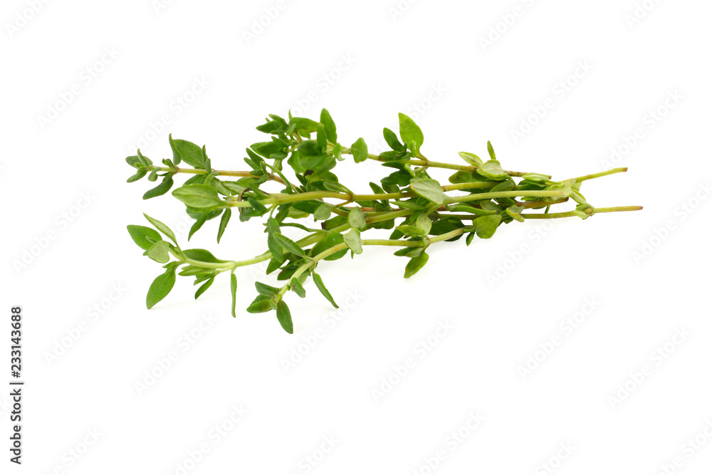 green thyme bunch isolated on white background green thyme bunch isolated on white background