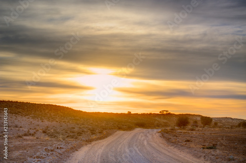 KGALAGADI Trans-frontier Park. Dawn views of the Kalahari desert landscape, South Africa © wolfavni