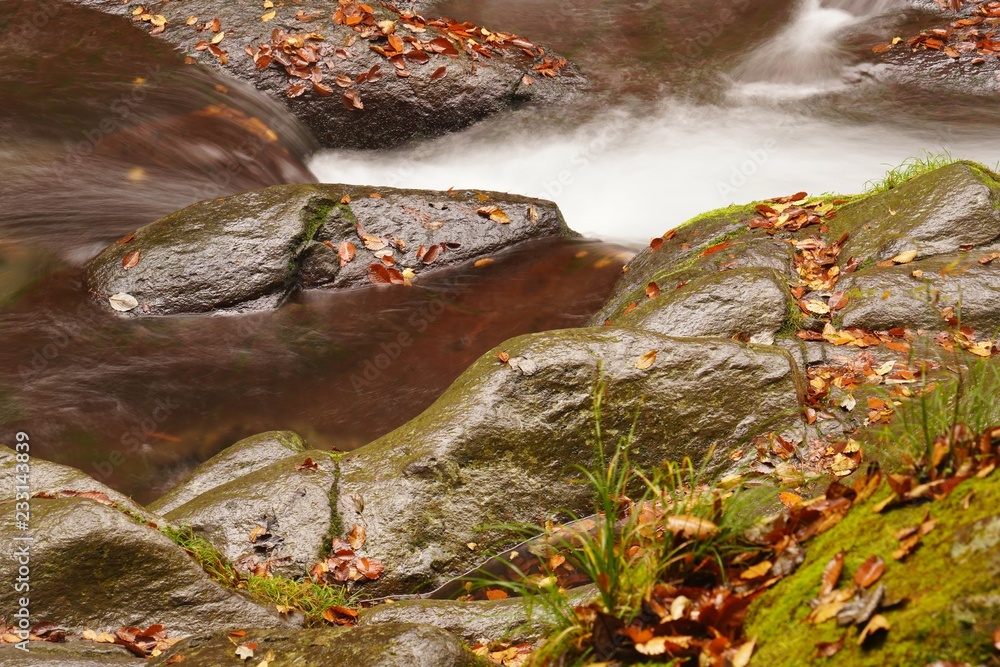 秋の落ち葉と菊池渓谷の流れ
