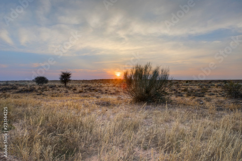 KGALAGADI Trans-frontier Park. Dawn views of the Kalahari desert landscape  South Africa
