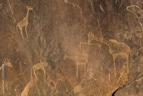 Rock engravings, animal depictions, Twyfelfontain, Kunene district, Namibia, Africa photo