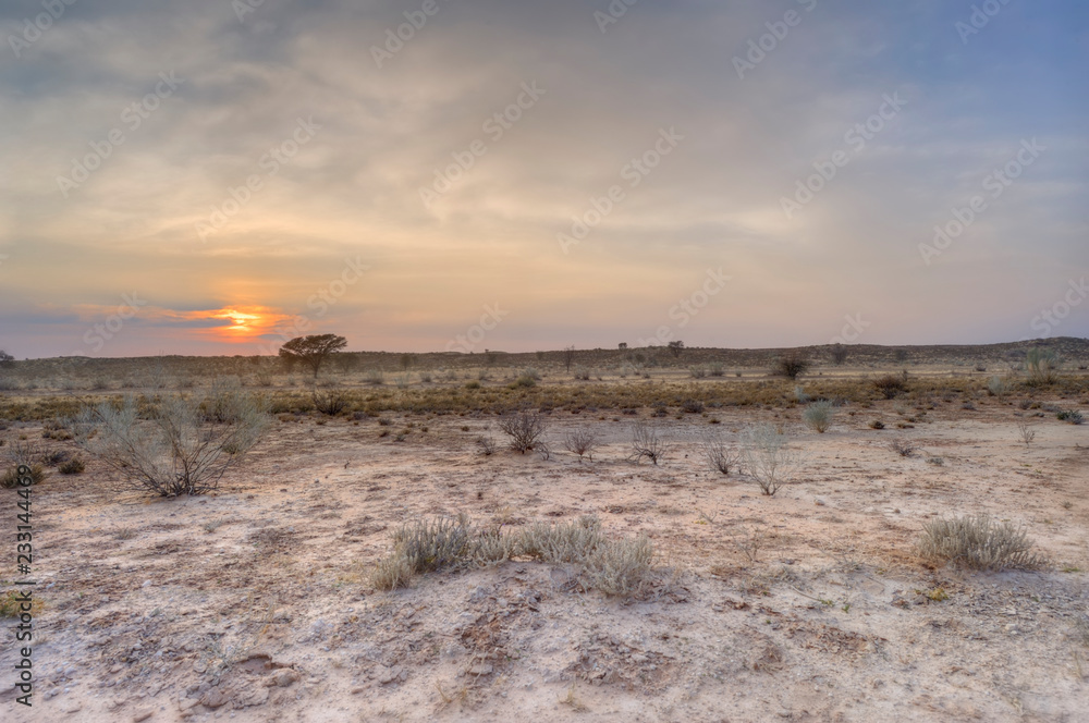 KGALAGADI Trans-frontier Park. Dawn views of the Kalahari desert landscape, South Africa