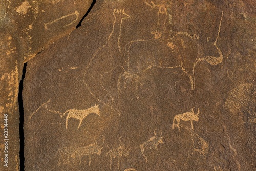 Rock engravings, animal depictions, Twyfelfontain, Kunene district, Namibia, Africa photo