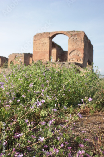 villa quintili photo