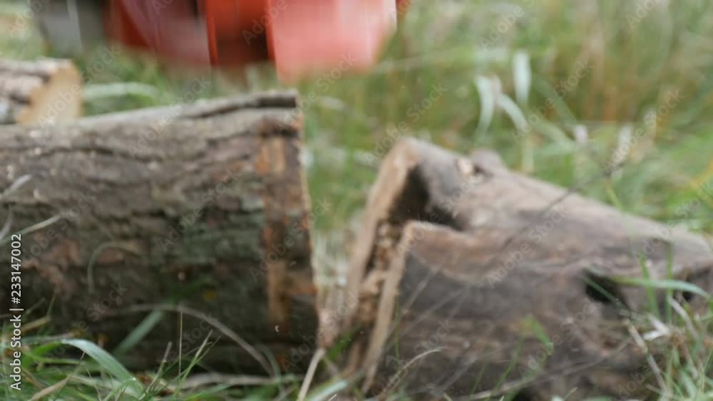 A man cuts dry tree trunks with chainsaw, sawdust fly everywhere A man cuts dry tree trunks with chainsaw, sawdust fly everywhere