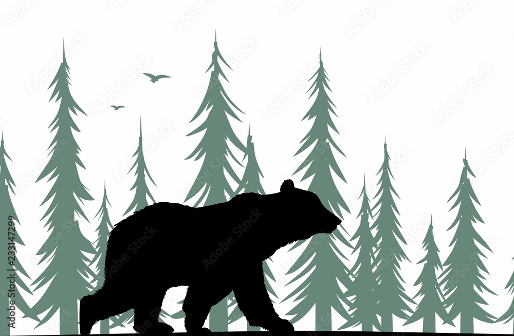 Fototapeta premium Niedźwiedź sylwetka z lasem.