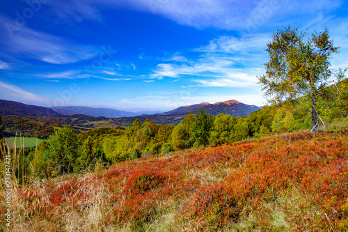 Fototapeta Naklejka Na Ścianę i Meble -  Landscape of autumnal peaks of the Carpathians.