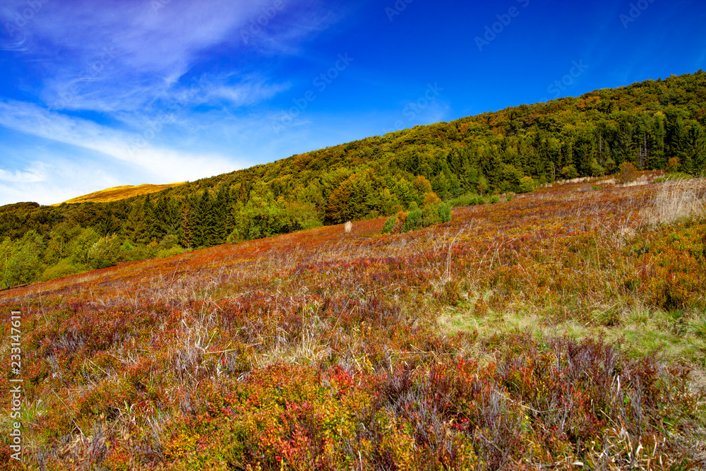 Landscape of autumnal peaks of the Carpathians. Landscape of autumnal peaks of the Carpathians.