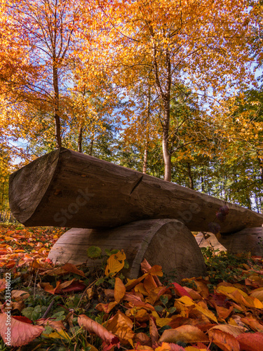 autumn in the park