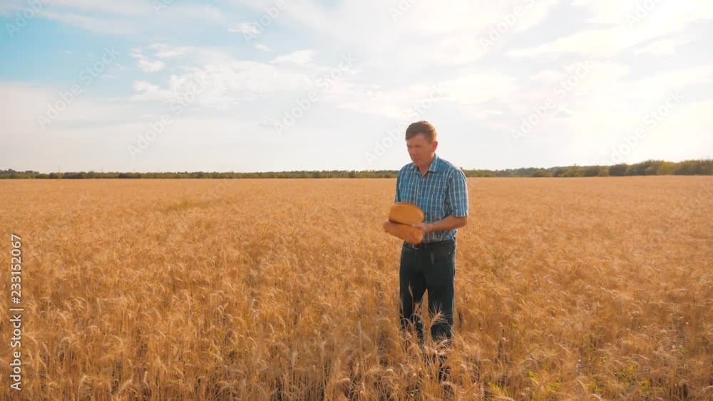 old farmer man baker holds a lifestyle golden bread and loaf in wheat field against the blue sky. slow motion video. successful agriculturist in field of wheat. harvest time. baker bread baking old farmer man baker holds a lifestyle golden bread and loaf in wheat field against the blue sky. slow motion video. successful agriculturist in field of wheat. harvest time. baker bread baking