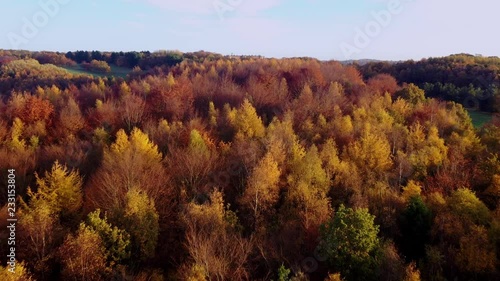 Temple Newsam and garden in Autumn
