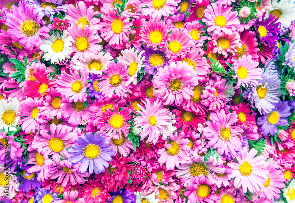 Bright flowers background Bright flowers background