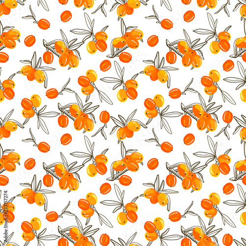 Sea buckthorn branch seamless pattern. Hand drawn berry illustration color and sketch. Sketch style. Elements for menu, greeting cards, wrapping paper, cosmetics packaging, posters etc