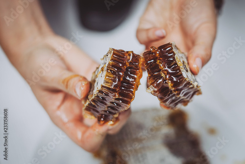Holding a piece of honeycomb