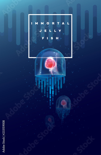 Vector illustration of the Immortal jellyfish swimming under the ocean surface