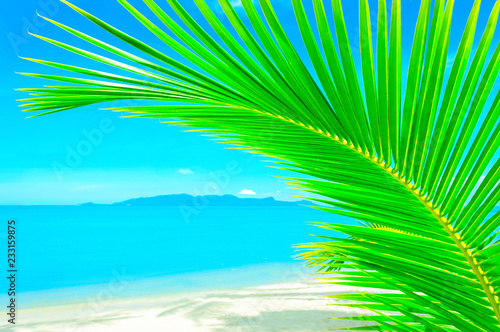 Fototapeta Naklejka Na Ścianę i Meble -  Beautiful Caribbean beach. Beach with palm tree over the sand