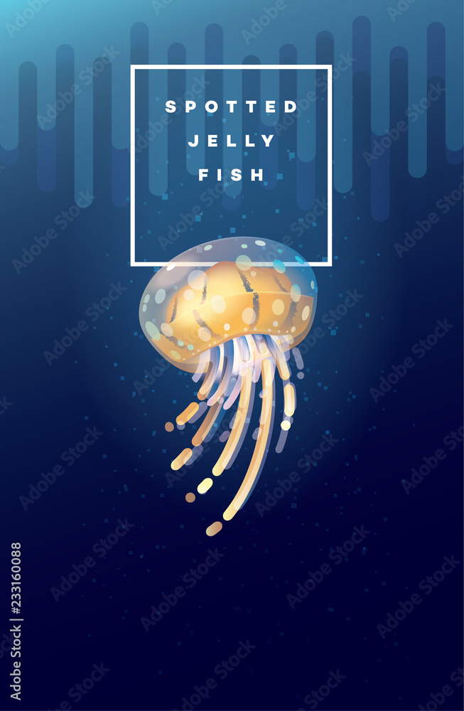 Fototapeta premium Vector illustration of Spotted Jellyfish swimming under the ocean surface