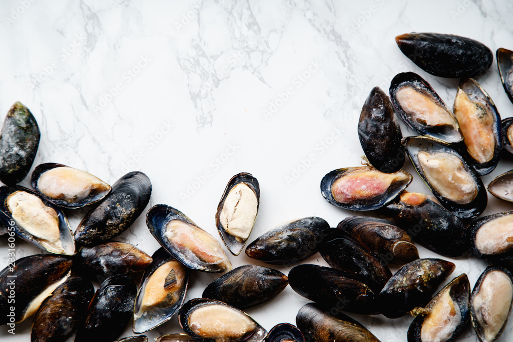 Top view with frozen mussels on white marble background layed in frame shape with a space for text Top view with frozen mussels on white marble background layed in frame shape with a space for text