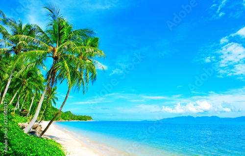 Beautiful beach. View of nice tropical beach with palms around. Holiday and vacation concept.  Tropical beach. © Andrii Vergeles
