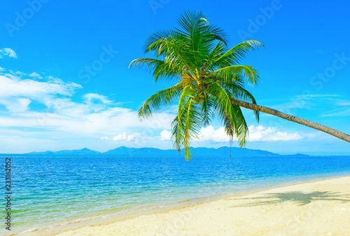 Beautiful beach. View of nice tropical beach with palms around. Holiday and vacation concept. Tropical beach. Beautiful tropical island. © Andrii Vergeles