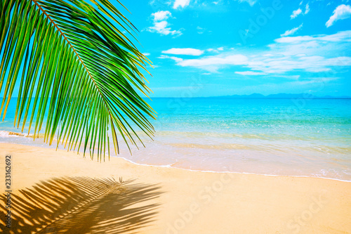 Fototapeta Naklejka Na Ścianę i Meble -  Beautiful beach. View of nice tropical beach with palms around. Holiday and vacation concept.  Tropical beach.