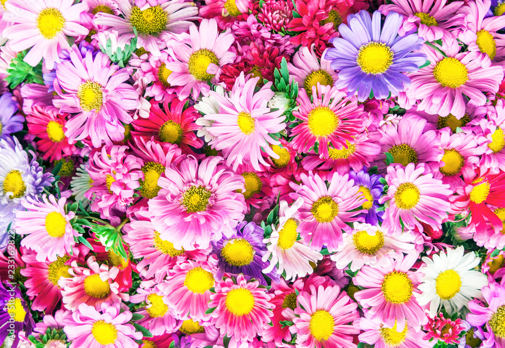Bright flowers background