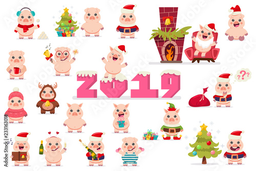 Cute Pig in Santa Claus costume vector set. Christmas cartoon funny animal character isolated on a white background. Symbol of the 2019 Chinese New Year.