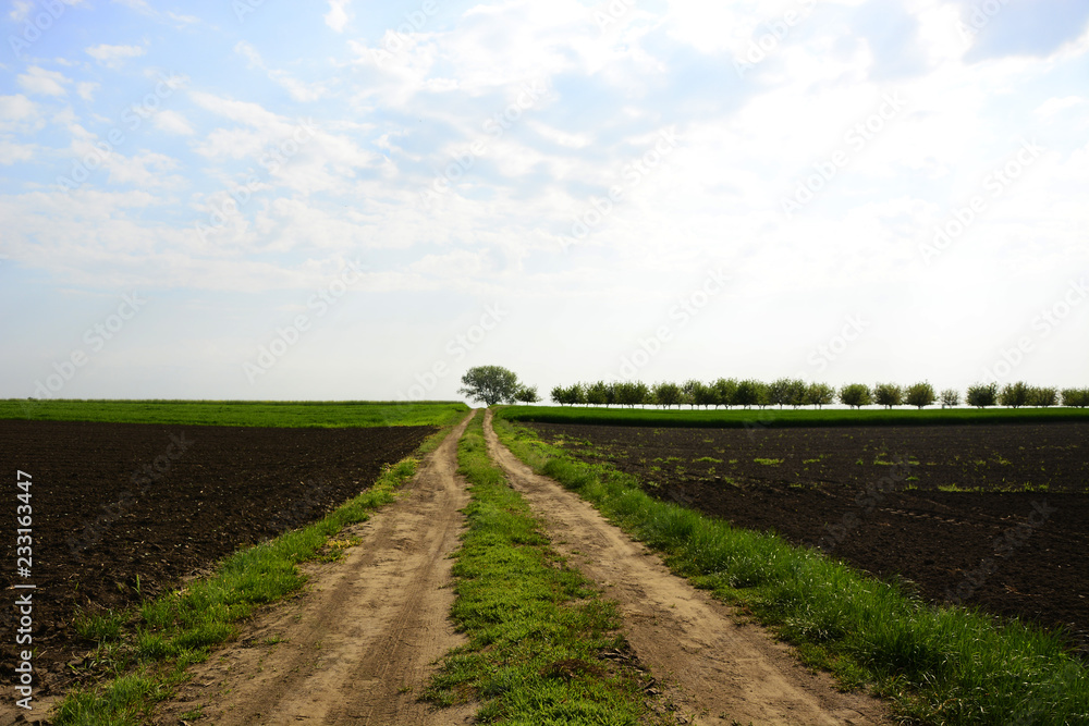 road in the field road in the field