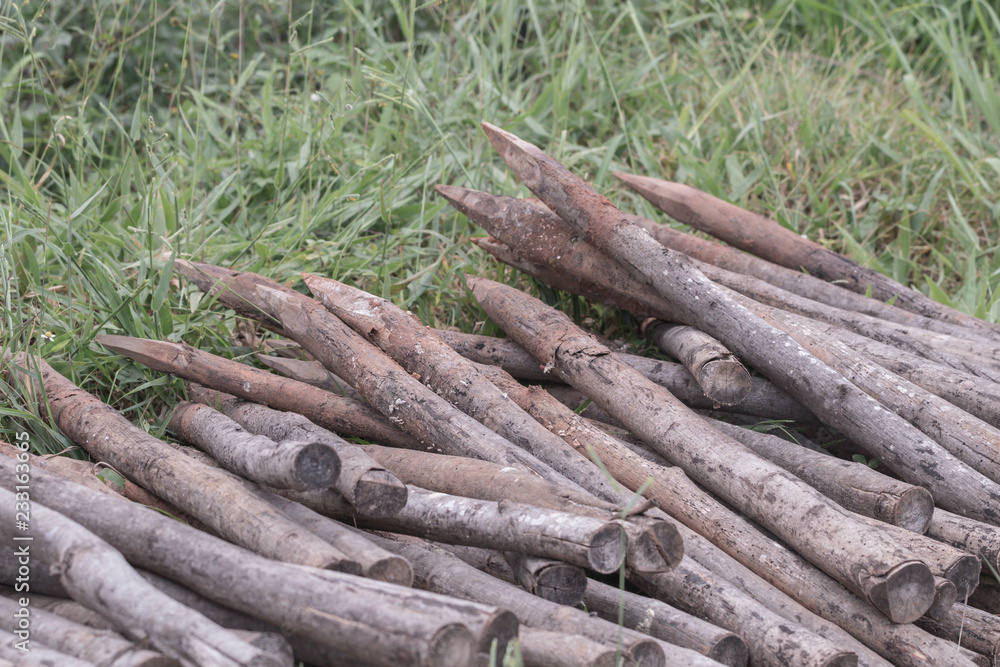 Pile of wood on green grass background.Pile eucalyptus of fence posts on farm. Pile of wood on green grass background.Pile eucalyptus of fence posts on farm.