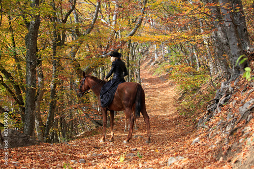 Woman riding a horse in the autumn forest © yanakoroleva27