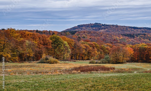 autumn landscape 