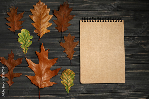 autumn leaves and paper notebook on wooden background with copy space for text