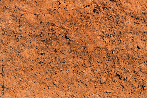 Dry soil texture and background. Red soil background. Abstract ground. Natural abstraction. Clay. Ocher. Red sands