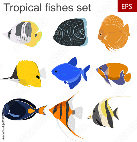 tropical fishes set