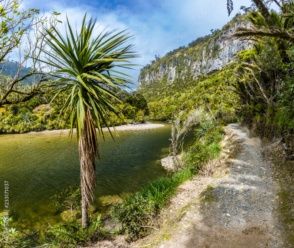 Porarari river track near Punakaiki, West Coast, South Island, New Zealand Porarari river track near Punakaiki, West Coast, South Island, New Zealand